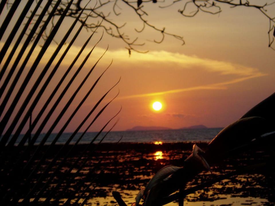 und nochmal Hotel Le Dugong Libong Resort