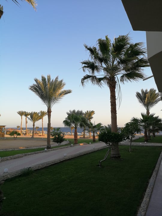 Gartenanlage Three Corners Sea Beach Resort