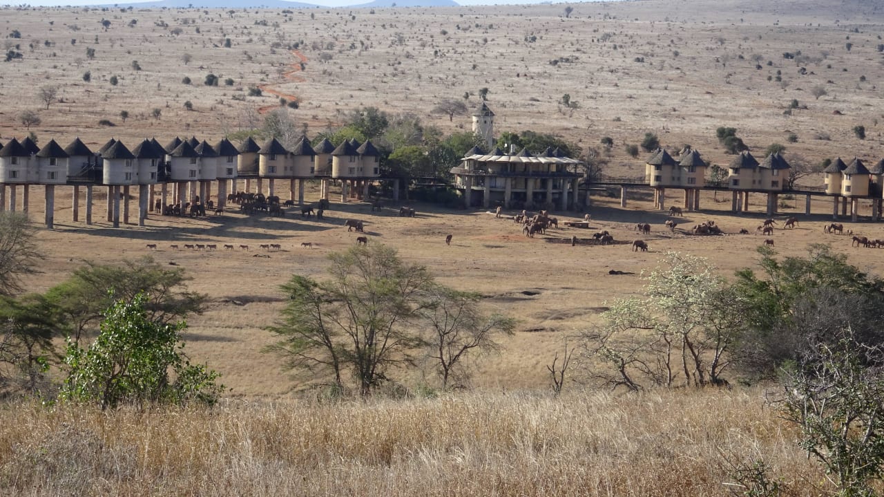 Sarova Taita Hills Game Lodge Taita Hills Safari Resort & Spa