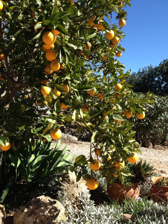 Außenansicht Villa Feliz