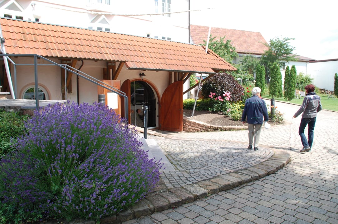 Vom Garten in den Weinkeller Consulat des Weins