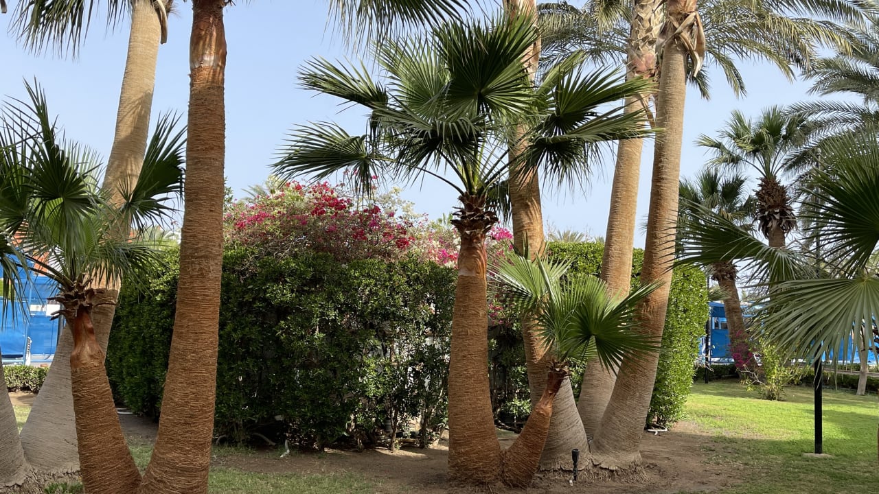 Strand Arabia Azur Resort