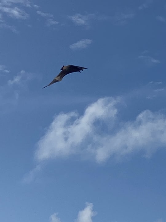 Sport & Freizeit Hotel Riu Palace Maldivas