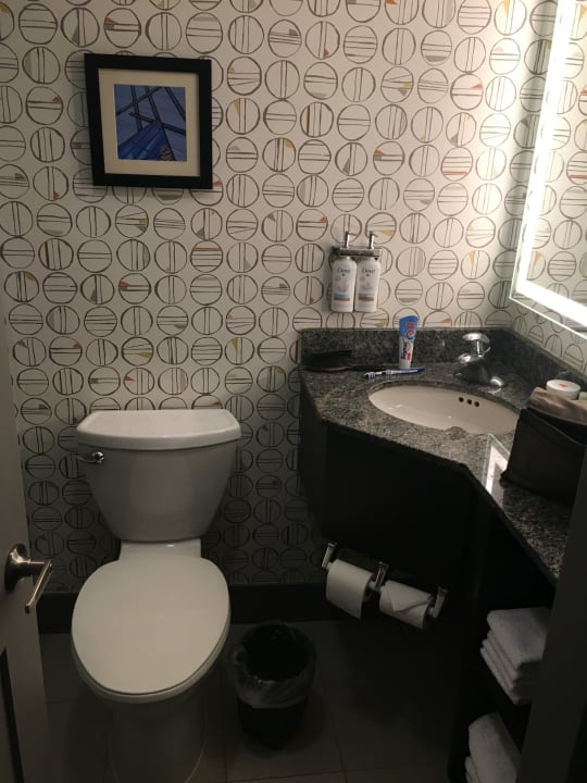 Zimmer Holiday Inn Toronto Downtown Centre