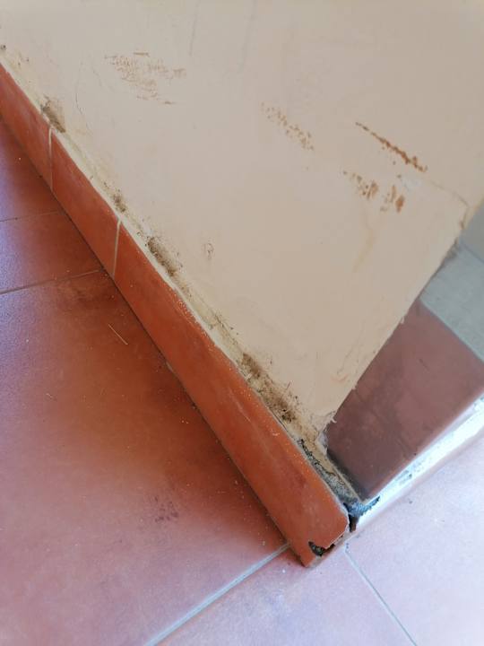 Außenansicht Occidental Jandía Mar