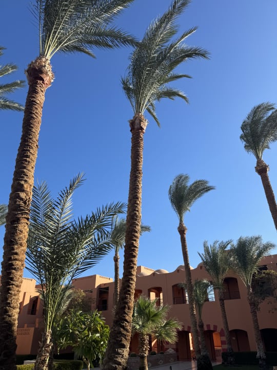 Ausblick Jaz Makadi Oasis Resort