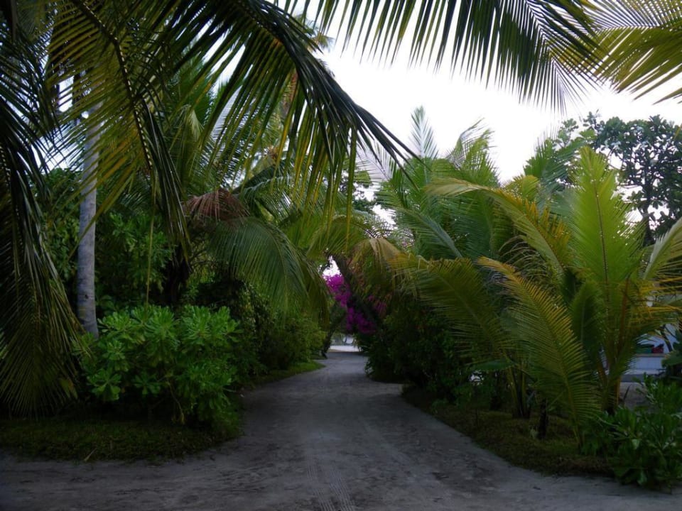 Gartenanlage Kuramathi Maldives