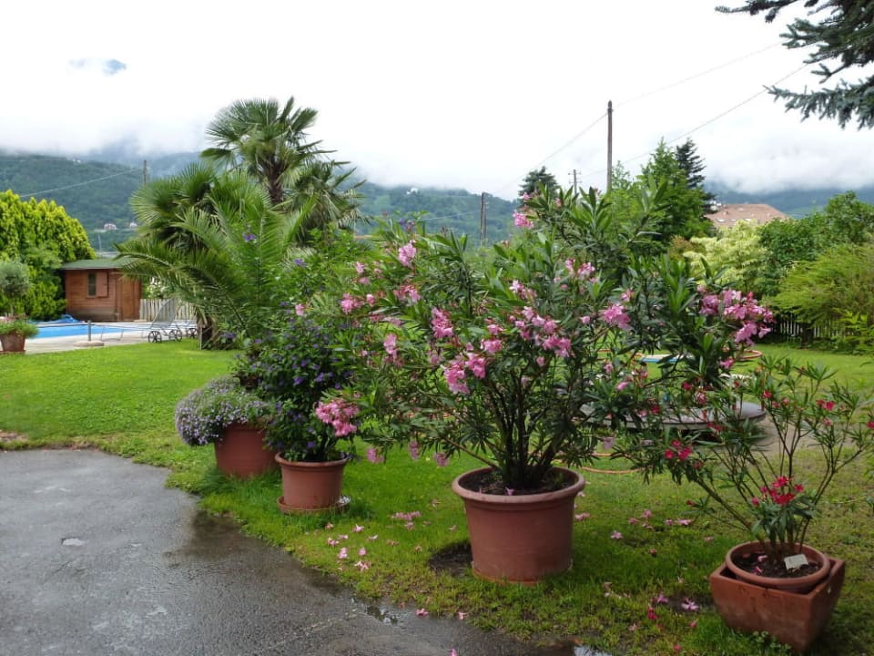 Garten Boutique Hotel Wiesenhof - Adults Only (14+)