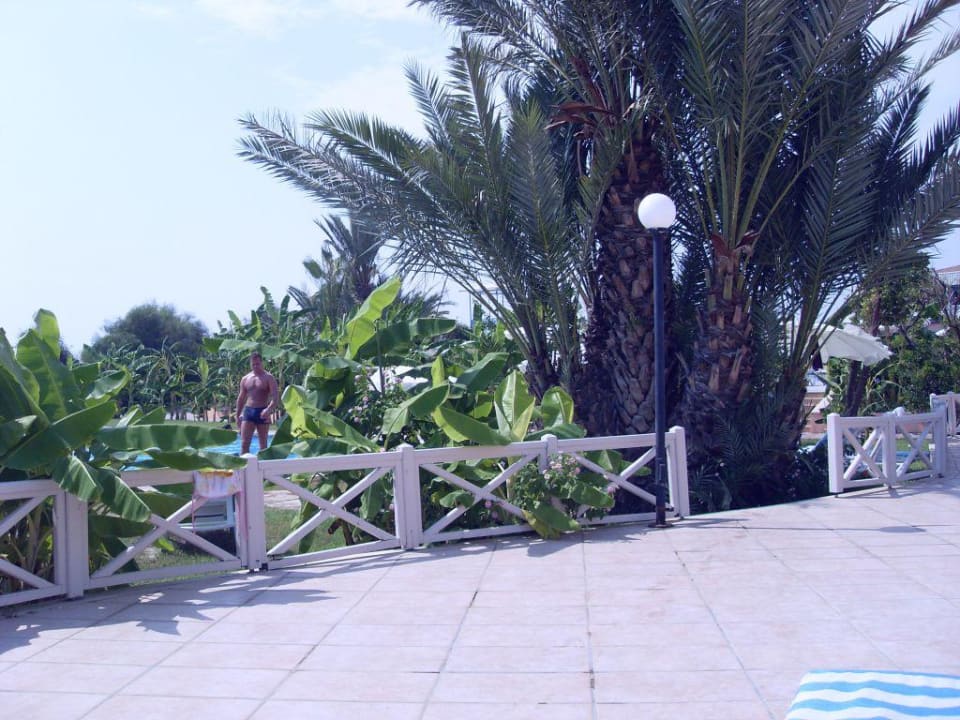 Traumhafte Liegefläche Asteria Family Resort Side