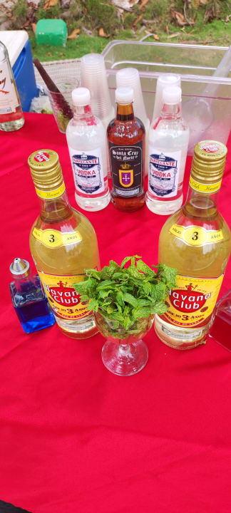 Gastro Starfish Varadero