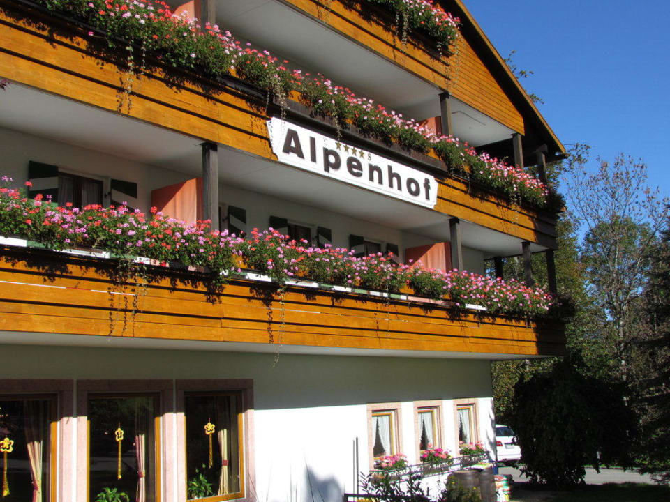 Alpenhof Alm- & Wellnesshotel Alpenhof