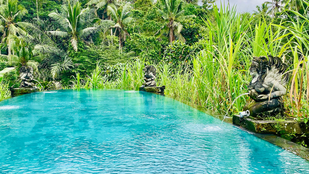 Pool The Kayon Resort