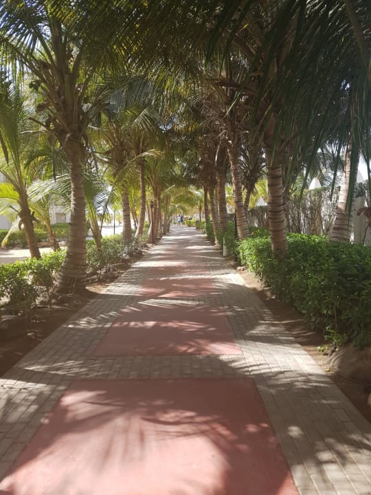 Gartenanlage Hotel Riu Karamboa