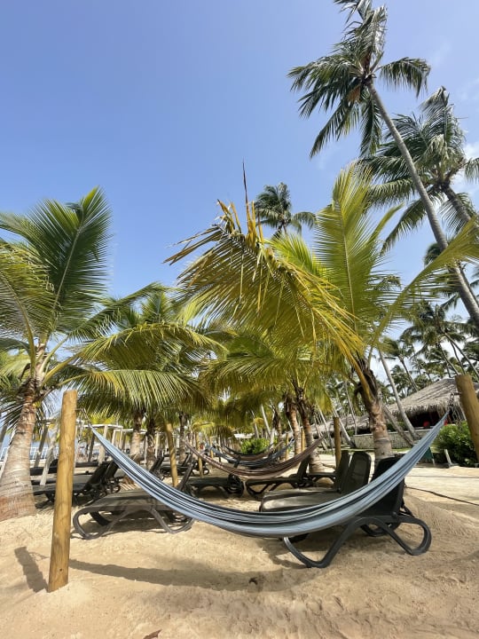 Strand Hotel Viva Dominicus Beach by Wyndham - All Inclusive Resort