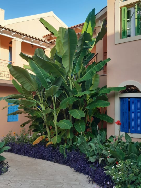 Gartenanlage St. George's Bay Country Club