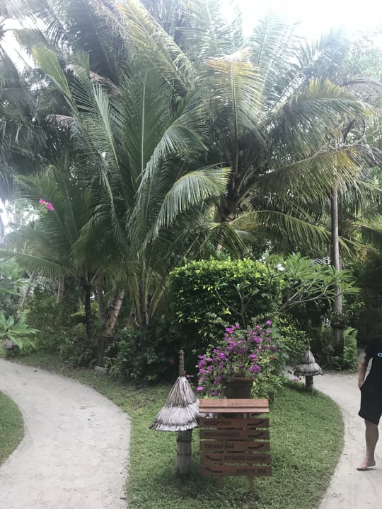Gartenanlage Veligandu Maldives Resort Island