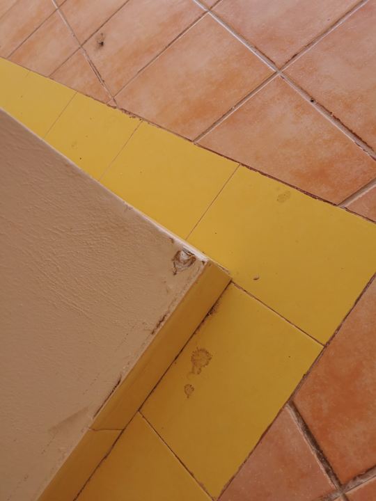 Sonstiges Club Hotel Drago Park