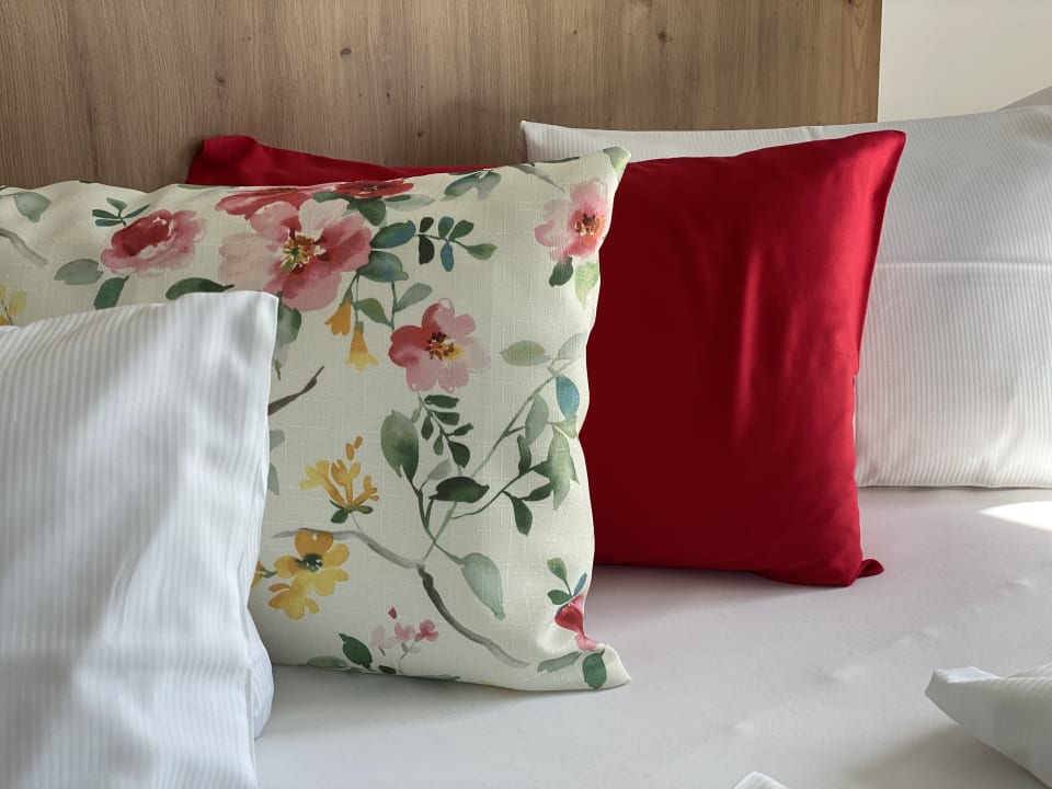 Zimmer Apartments Dachsteinblick