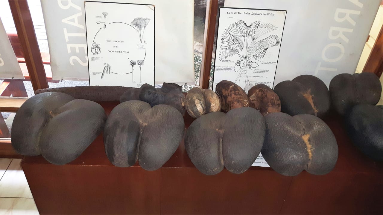 Sonstiges Guesthouse Cabanes des Anges