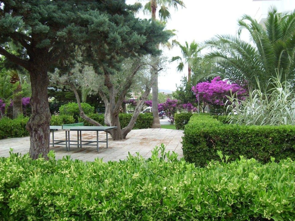 Tischtennis Millor Sol