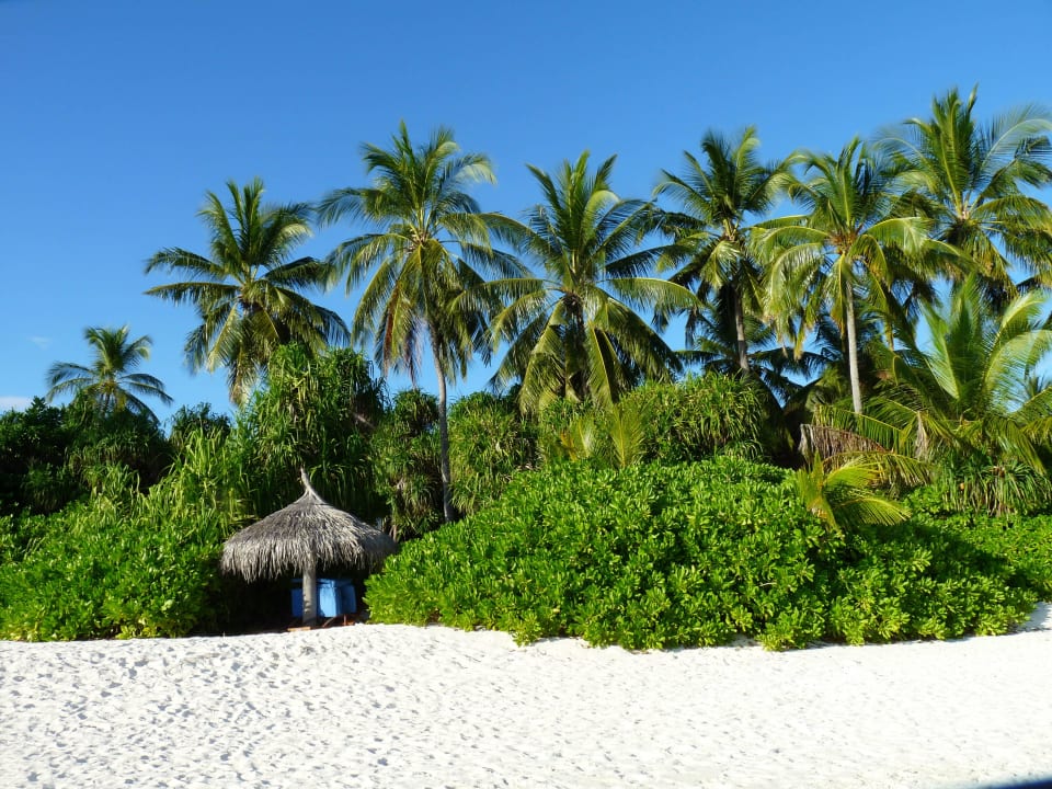 Strand mit unseren Sonnenliegen ROBINSON MALDIVES