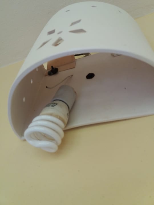 Zimmer Ocean Coral & Turquesa by H10