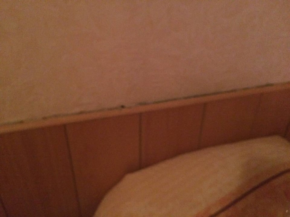 Leiste direkt über dem Bett!!! mit Schmutz Pension Gästehaus Am Purkshof