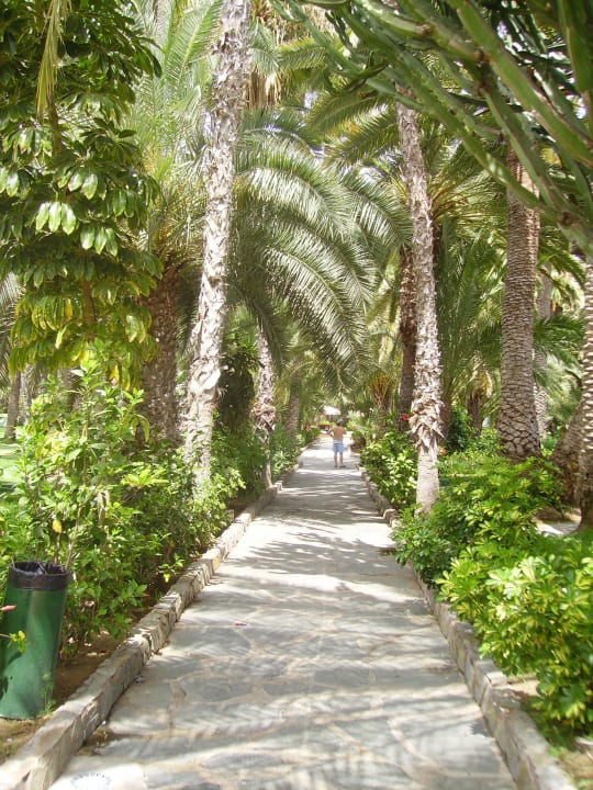 Palmengarten Hotel Riu Palace Oasis