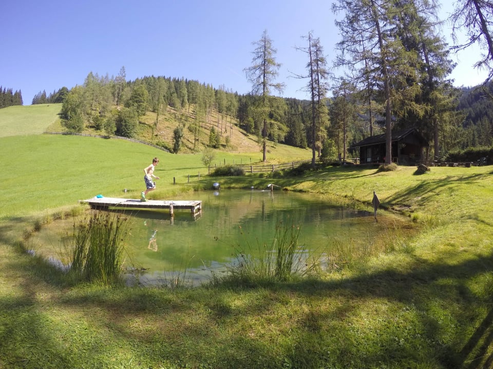 Ein Sprung in den Forellenteich Hotel Windbachgut