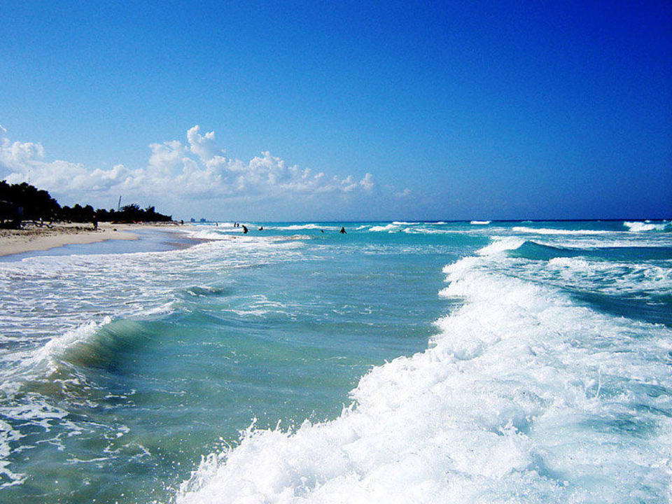 Strand Starfish Cuatro Palmas