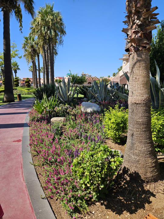 Gartenanlage Megasaray Club Belek