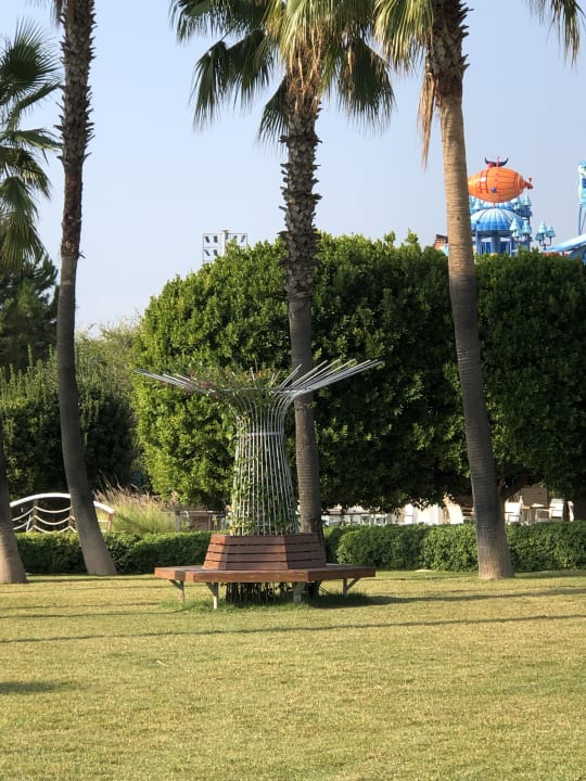 Gartenanlage Hotel Miracle Resort