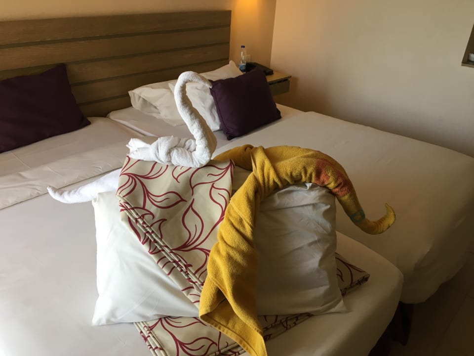 Zimmer Club Paradisio El Gouna, Red Sea