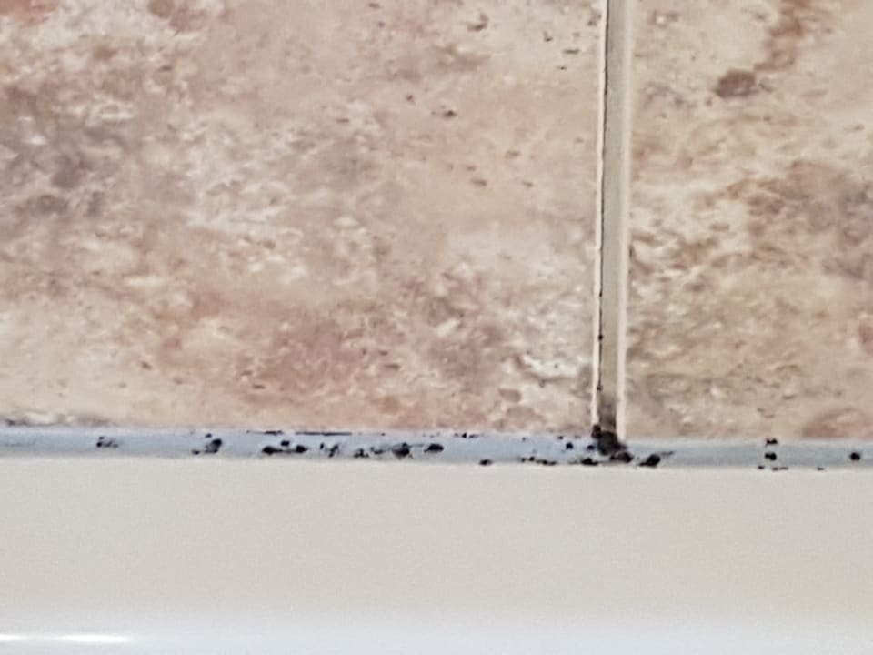 Zimmer Brennerei- und Wellnesshotel Lagler