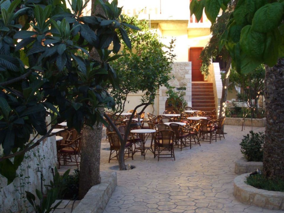 Gartenanlage Cactus Beach Cactus Royal