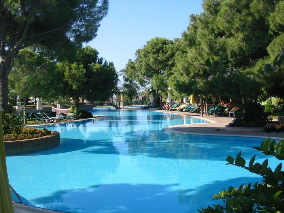 Pools Papillon Ayscha