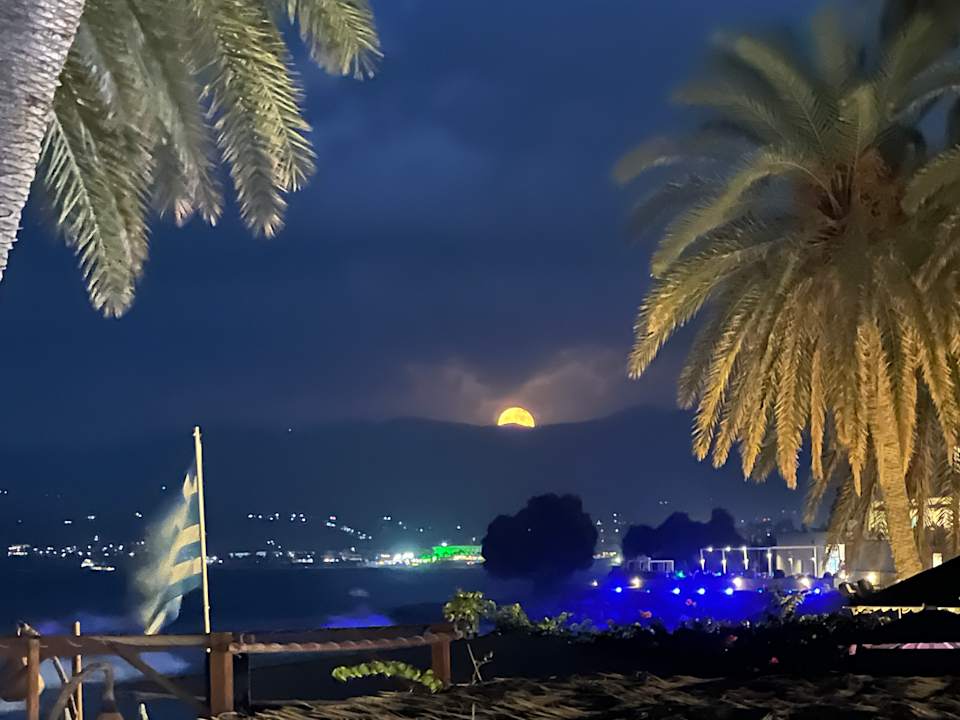 Gartenanlage Zeus Hotels Palm Beach