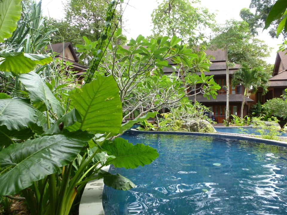 Unser Pool Khao Lak Merlin Resort