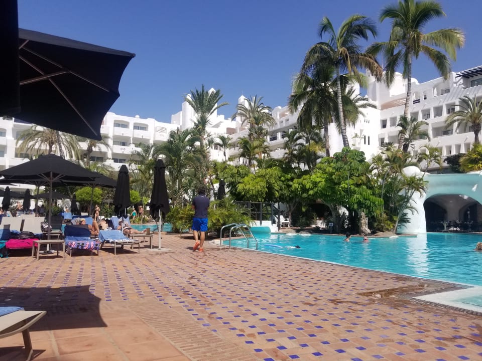 Pool Dreams Jardín Tropical