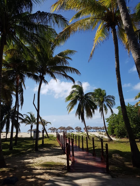 Gartenanlage Hotel Brisas del Caribe
