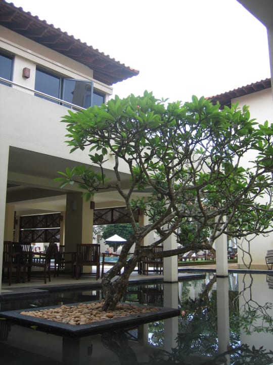 Im Hotelbereich Mermaid Hotel & Club