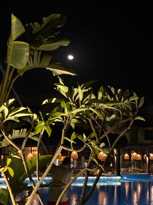 Ausblick Steigenberger Resort Ras Soma