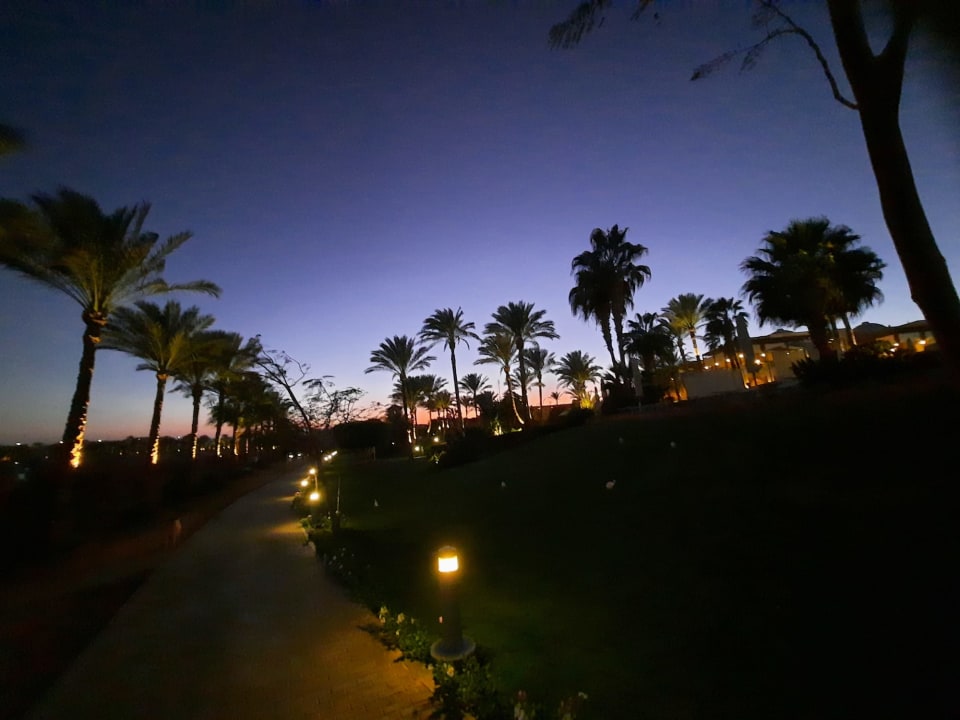 Gartenanlage Steigenberger Coraya Beach - Adults only