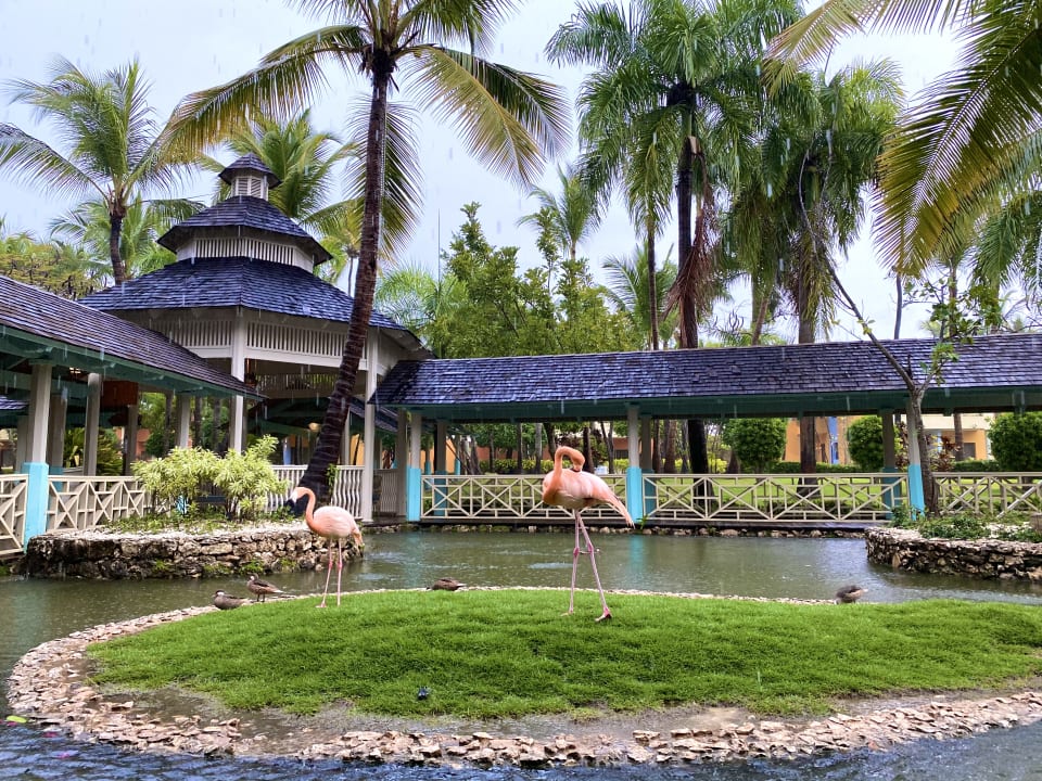 Gartenanlage Iberostar Selection Coral Bávaro