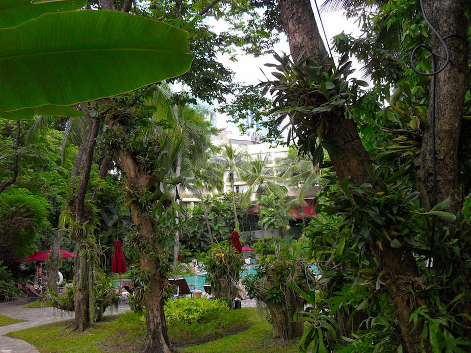 Mitten in Bangkok Movenpick BDMS Wellness Resort Bangkok