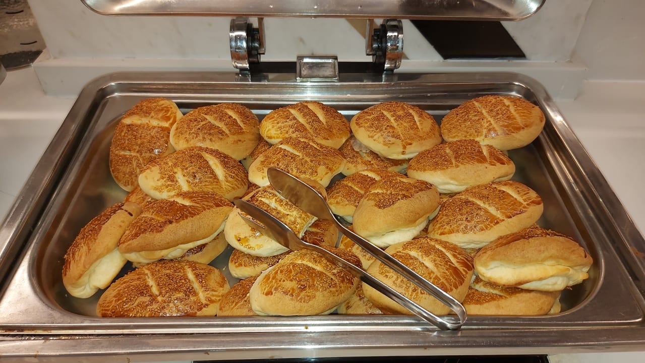 Gastro Maxeria Blue Didyma