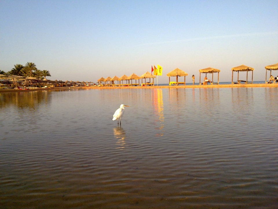 Tramonto Coral Sea Holiday Village