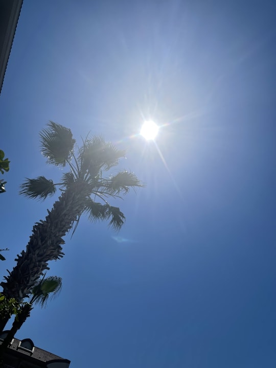 Pool Aydinbey Kings Palace & Spa