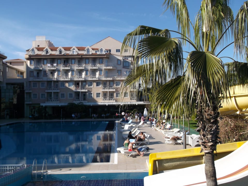 Pool Side Aluna Hotel