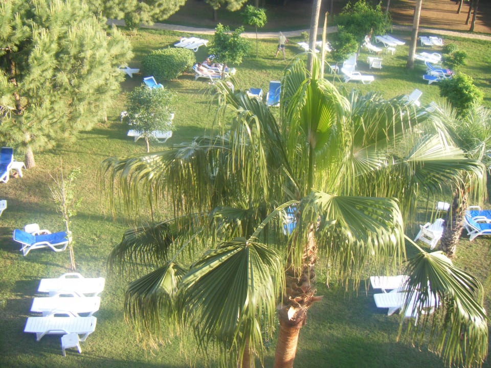 Ausblick Club Turtas Beach Hotel